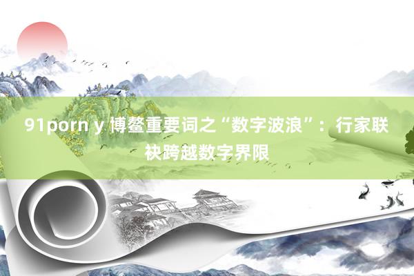 91porn y 博鳌重要词之“数字波浪”：行家联袂跨越数字界限