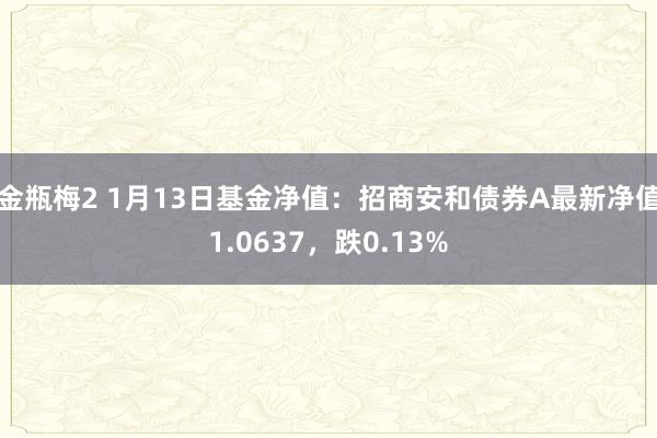 金瓶梅2 1月13日基金净值：招商安和债券A最新净值1.0637，跌0.13%