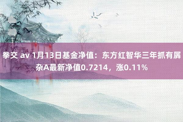 拳交 av 1月13日基金净值：东方红智华三年抓有羼杂A最新净值0.7214，涨0.11%