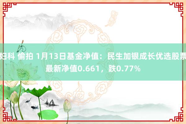 妇科 偷拍 1月13日基金净值：民生加银成长优选股票最新净值0.661，跌0.77%