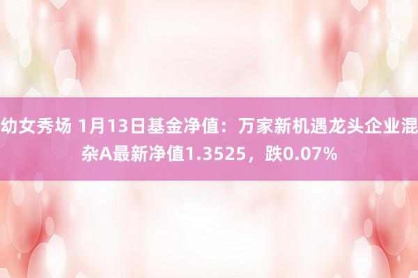 幼女秀场 1月13日基金净值：万家新机遇龙头企业混杂A最新净值1.3525，跌0.07%