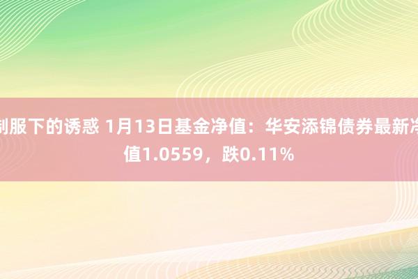 制服下的诱惑 1月13日基金净值：华安添锦债券最新净值1.0559，跌0.11%