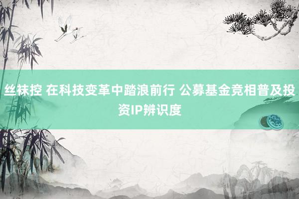 丝袜控 在科技变革中踏浪前行 公募基金竞相普及投资IP辨识度