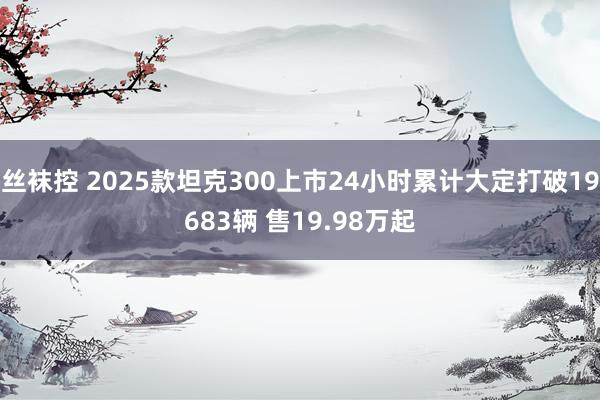丝袜控 2025款坦克300上市24小时累计大定打破19683辆 售19.98万起