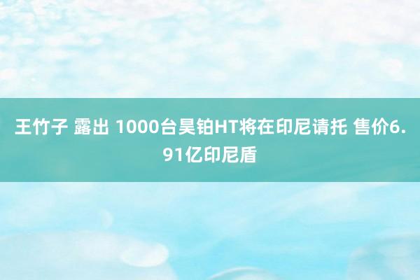 王竹子 露出 1000台昊铂HT将在印尼请托 售价6.91亿印尼盾