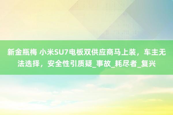 新金瓶梅 小米SU7电板双供应商马上装，车主无法选择，安全性引质疑_事故_耗尽者_复兴