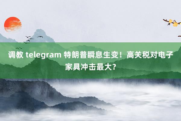 调教 telegram 特朗普瞬息生变！高关税对电子家具冲击最大？