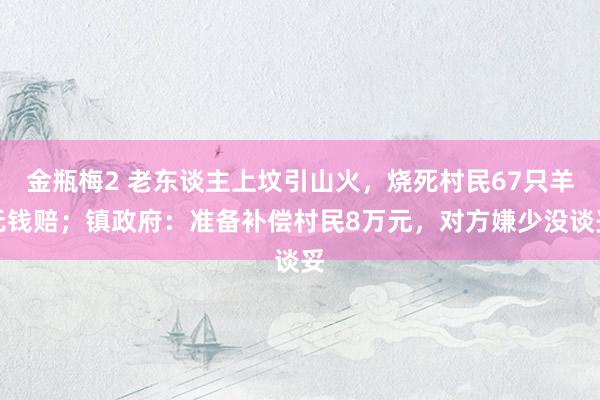 金瓶梅2 老东谈主上坟引山火，烧死村民67只羊无钱赔；镇政府：准备补偿村民8万元，对方嫌少没谈妥