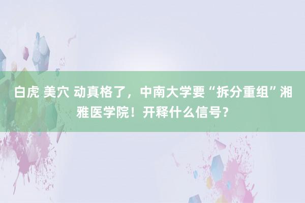 白虎 美穴 动真格了，中南大学要“拆分重组”湘雅医学院！开释什么信号？
