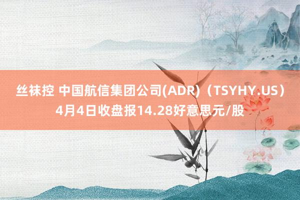 丝袜控 中国航信集团公司(ADR)（TSYHY.US）4月4日收盘报14.28好意思元/股