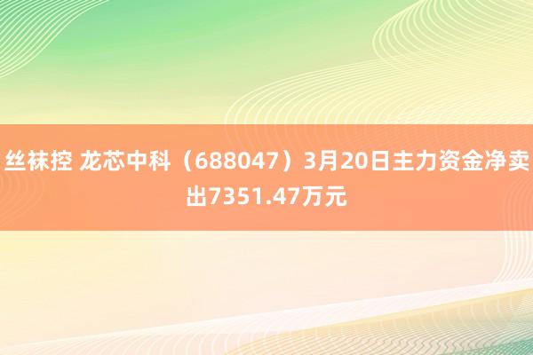 丝袜控 龙芯中科（688047）3月20日主力资金净卖出7351.47万元