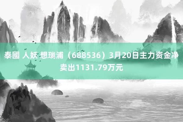 泰國 人妖 想瑞浦（688536）3月20日主力资金净卖出1131.79万元
