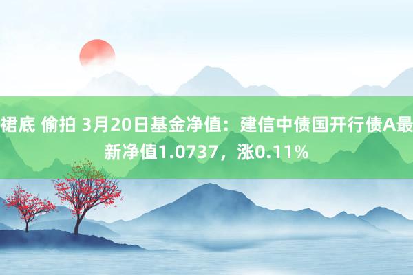 裙底 偷拍 3月20日基金净值：建信中债国开行债A最新净值1.0737，涨0.11%