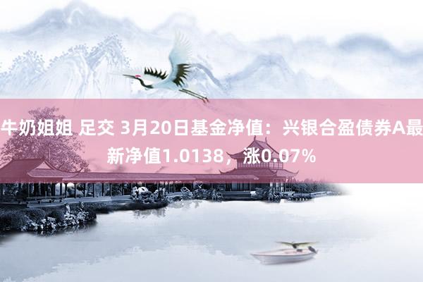 牛奶姐姐 足交 3月20日基金净值：兴银合盈债券A最新净值1.0138，涨0.07%