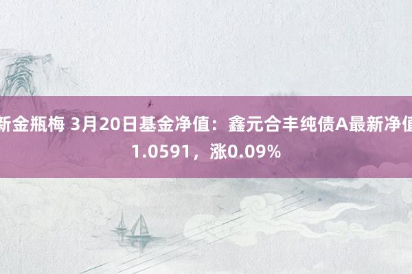 新金瓶梅 3月20日基金净值：鑫元合丰纯债A最新净值1.0591，涨0.09%