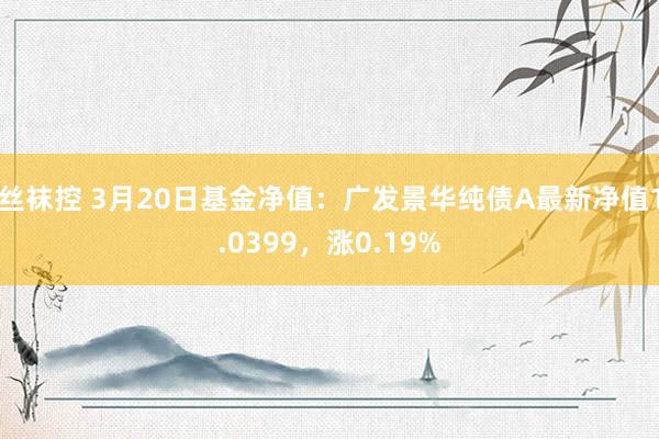 丝袜控 3月20日基金净值：广发景华纯债A最新净值1.0399，涨0.19%