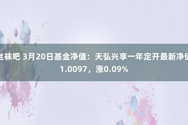 丝袜吧 3月20日基金净值：天弘兴享一年定开最新净值1.0097，涨0.09%