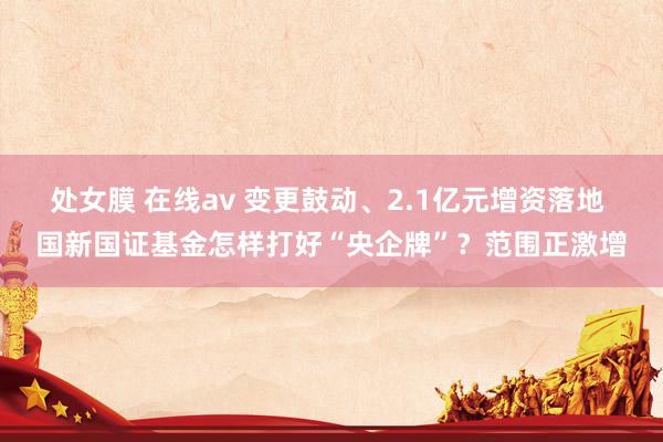 处女膜 在线av 变更鼓动、2.1亿元增资落地 国新国证基金怎样打好“央企牌”？范围正激增