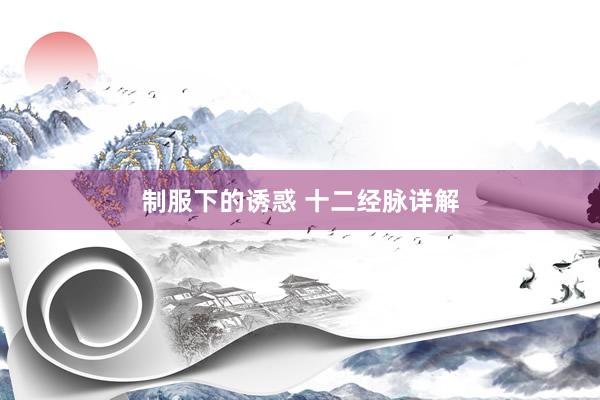 制服下的诱惑 十二经脉详解