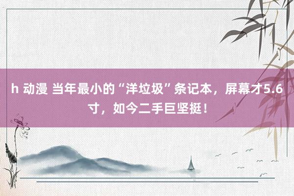 h 动漫 当年最小的“洋垃圾”条记本，屏幕才5.6寸，如今二手巨坚挺！