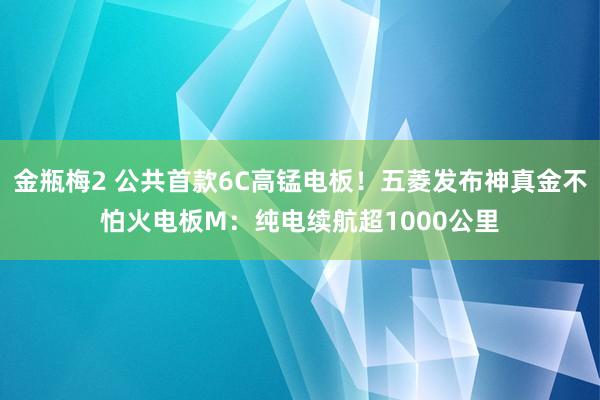 金瓶梅2 公共首款6C高锰电板！五菱发布神真金不怕火电板M：纯电续航超1000公里
