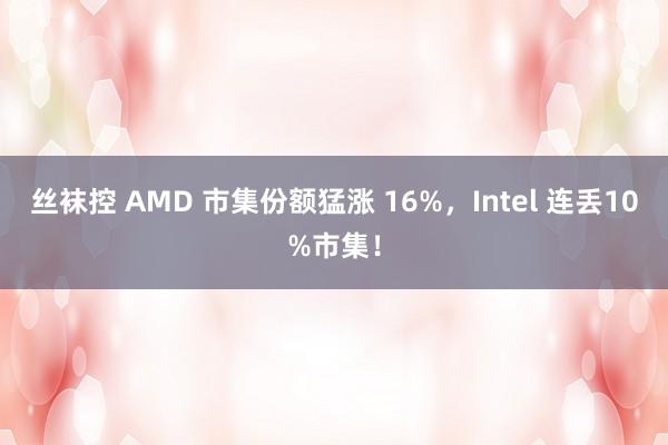丝袜控 AMD 市集份额猛涨 16%，Intel 连丢10%市集！