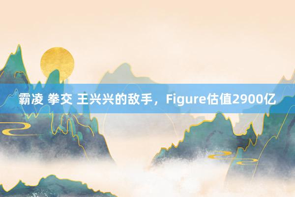 霸凌 拳交 王兴兴的敌手，Figure估值2900亿