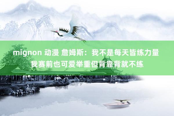 mignon 动漫 詹姆斯：我不是每天皆练力量 我赛前也可爱举重但背靠背就不练