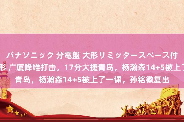 パナソニック 分電盤 大形リミッタースペース付 露出・半埋込両用形 广厦降维打击，17分大捷青岛，杨瀚森14+5被上了一课，孙铭徽复出