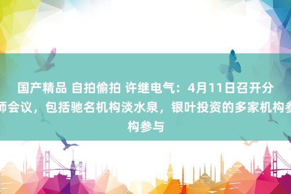 国产精品 自拍偷拍 许继电气：4月11日召开分析师会议，包括驰名机构淡水泉，银叶投资的多家机构参与