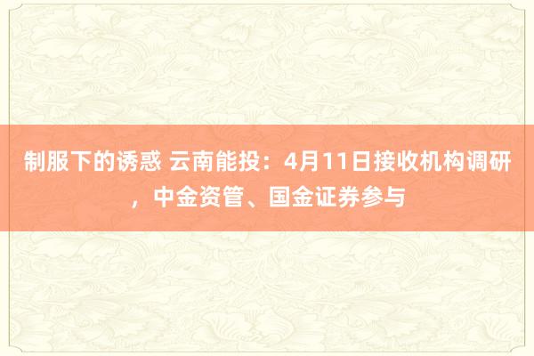 制服下的诱惑 云南能投：4月11日接收机构调研，中金资管、国金证券参与