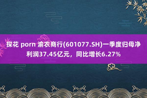 探花 porn 渝农商行(601077.SH)一季度归母净利润37.45亿元，同比增长6.27%