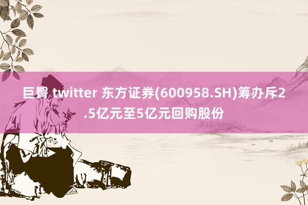 巨臀 twitter 东方证券(600958.SH)筹办斥2.5亿元至5亿元回购股份