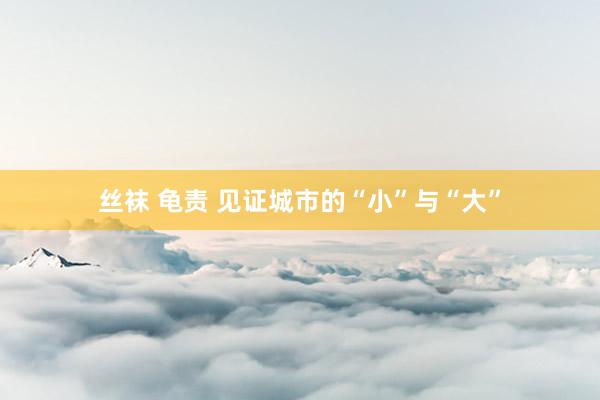 丝袜 龟责 见证城市的“小”与“大”