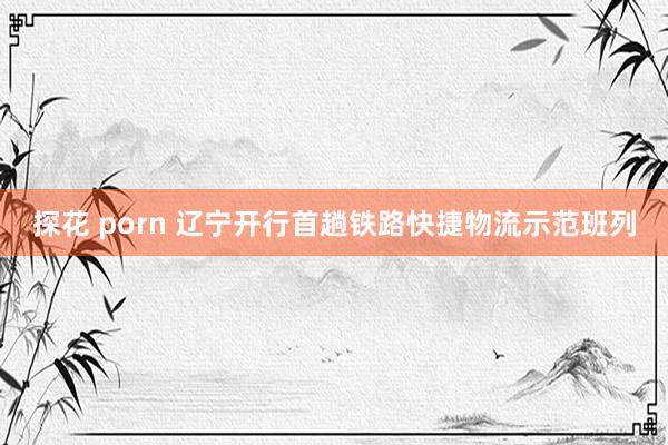 探花 porn 辽宁开行首趟铁路快捷物流示范班列