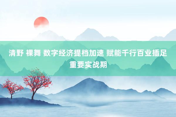 清野 裸舞 数字经济提档加速 赋能千行百业插足重要实战期