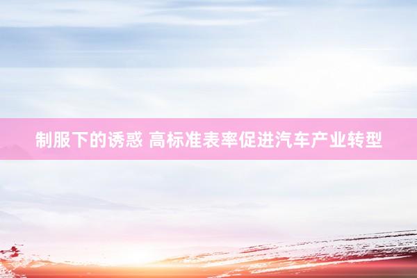 制服下的诱惑 高标准表率促进汽车产业转型