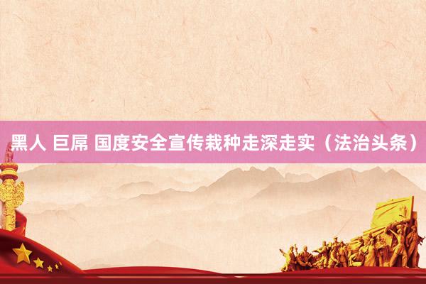 黑人 巨屌 国度安全宣传栽种走深走实（法治头条）