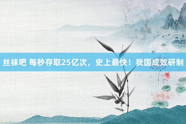 丝袜吧 每秒存取25亿次，史上最快！我国成效研制