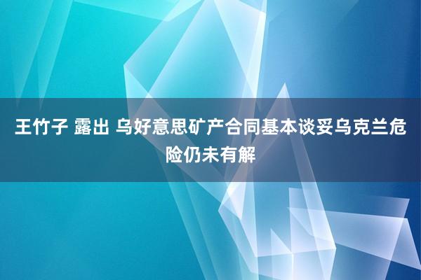 王竹子 露出 乌好意思矿产合同基本谈妥　乌克兰危险仍未有解