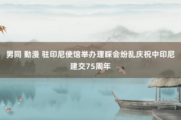 男同 動漫 驻印尼使馆举办理睬会纷乱庆祝中印尼建交75周年