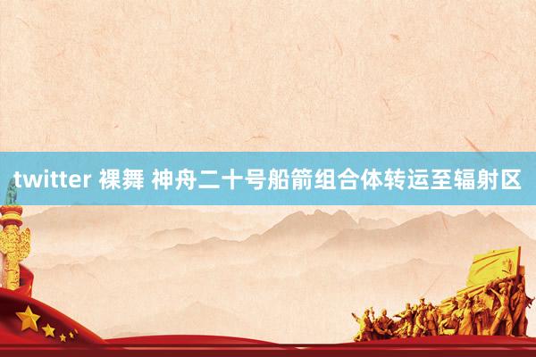 twitter 裸舞 神舟二十号船箭组合体转运至辐射区