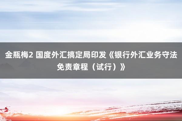 金瓶梅2 国度外汇搞定局印发《银行外汇业务守法免责章程（试行）》