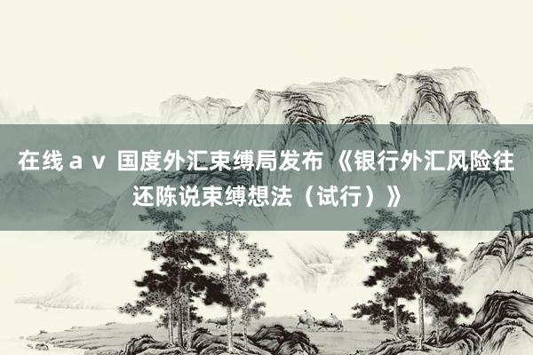 在线ａｖ 国度外汇束缚局发布 《银行外汇风险往还陈说束缚想法（试行）》