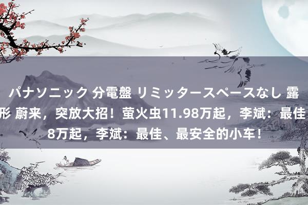 パナソニック 分電盤 リミッタースペースなし 露出・半埋込両用形 蔚来，突放大招！萤火虫11.98万起，李斌：最佳、最安全的小车！