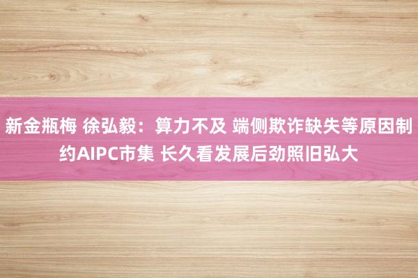 新金瓶梅 徐弘毅：算力不及 端侧欺诈缺失等原因制约AIPC市集 长久看发展后劲照旧弘大