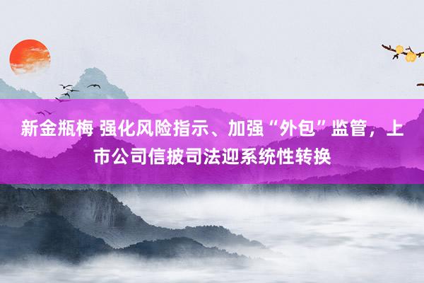 新金瓶梅 强化风险指示、加强“外包”监管，上市公司信披司法迎系统性转换