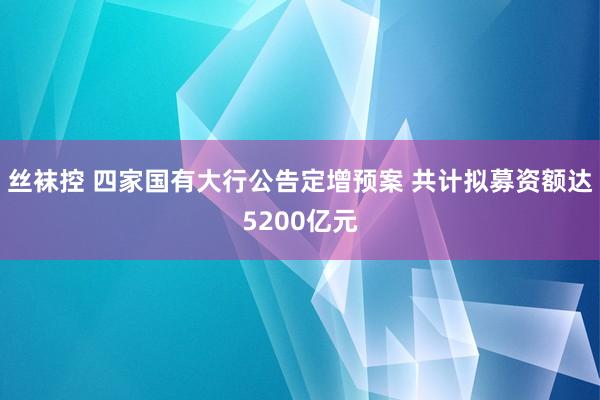 丝袜控 四家国有大行公告定增预案 共计拟募资额达5200亿元