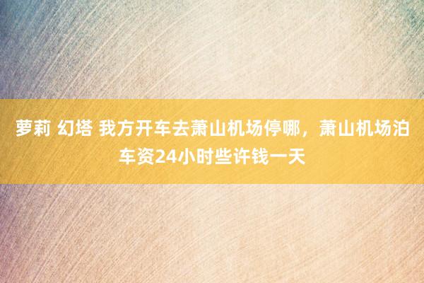 萝莉 幻塔 我方开车去萧山机场停哪，萧山机场泊车资24小时些许钱一天